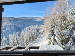 Bergkristall Ruhe und Aussicht auf 1100m Sankt Georgen Ob Murau